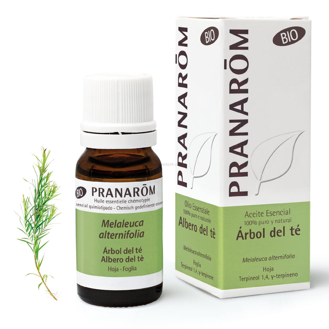 Pranarom aceite esencial de árbol de té bio 10 ml
